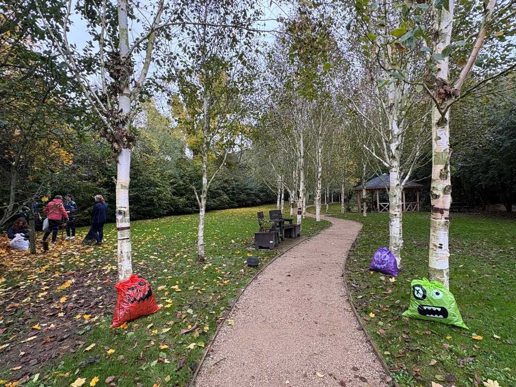 Tearmann  Community Garden- Pics