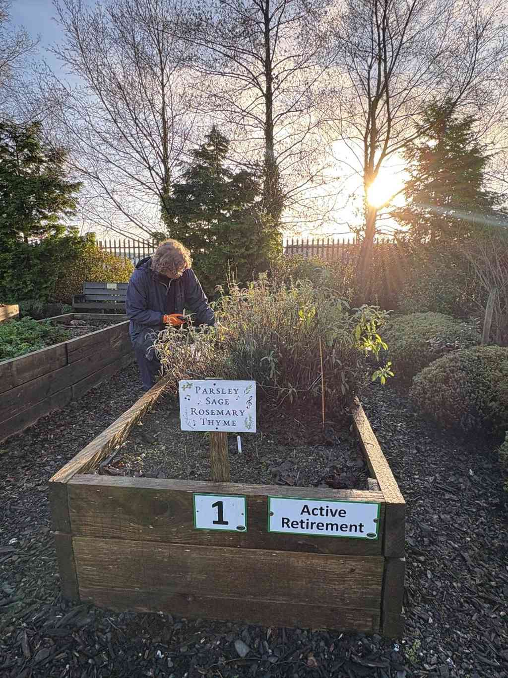 Community Garden and TYs- Pics