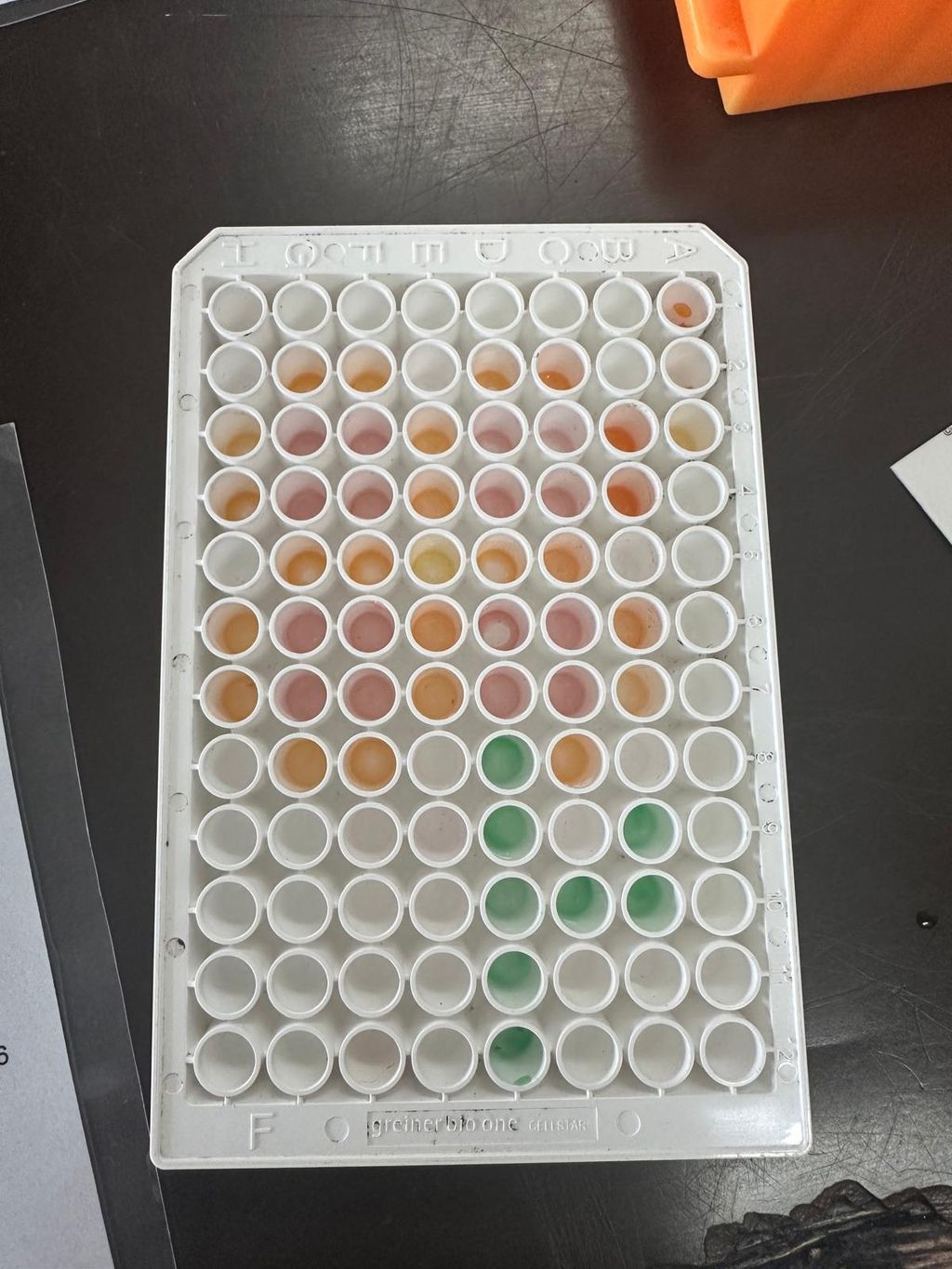Amgen Biotech Experience – Pics